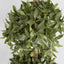 Artificial Sweet Bay Triple Ball Tree 1.7m - House of Isabella AU