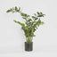 Artificial Smargago Plant x 7 1.1m - House of Isabella AU