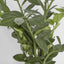 Artificial Smargago Plant x 7 1.1m - House of Isabella AU