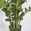 Artificial Smargago Plant x 7 1.1m - House of Isabella AU