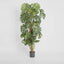 Artificial Split-Leaf Philodendron 1.5m - House of Isabella AU