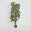 Artificial Split-Leaf Philodendron 1.5m - House of Isabella AU