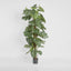 Artificial Split-Leaf Philodendron 1.8m - House of Isabella AU