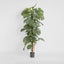 Artificial Split-Leaf Philodendron 1.8m - House of Isabella AU