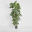 Artificial Split-Leaf Philodendron 1.9m - House of Isabella AU