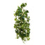 Hanging Cissus Bush UV Coated 1.1m