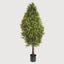 Artificial Boxwood Cone W/2160 Lvs 90cm - House of Isabella AU