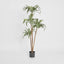 Artificial Variegated Dracaena 1.6m - House of Isabella AU