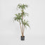 Artificial Variegated Dracaena 1.6m - House of Isabella AU