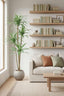 Artificial Variegated Dracaena 1.6m - House of Isabella AU