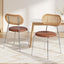 Artiss 2x Dining Chairs PU Leather Rattan Kitchen Lounge Cafe Accent Chair Brown