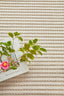 Darren Palmer Sandridge Cream 300X80Cm