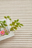 Darren Palmer Sandridge Cream 230X160Cm