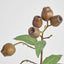 Eucalyptus Burgundy 67cm Green