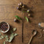 Eucalyptus Burgundy 67cm Green