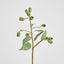 Eucalyptus Gumnut Spray 64cm Dark Green