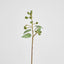 Eucalyptus Gumnut Spray 64cm Dark Green