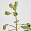 Eucalyptus Gumnut Spray 64cm Dark Green