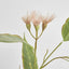 Eucalyptus Flower Spray 92cm Pink & Green