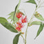 Eucalyptus Flower Spray 92cm Red & Green