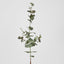 Eucalyptus Spray 74cm Dark Green - Pack of 12