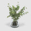 Eucalyptus Leaf Spray in Vase 59cm