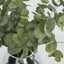Eucalyptus Leaf Spray in Vase 59cm