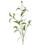 Eucalyptus leaf Spray Thin Leaves 1.15m