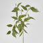 Eucalyptus Spray 117cm