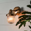 Jade Outdoor Wall Light Brass