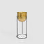 Tuscan Standing Wine Cooler Medium