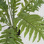 Fern Hares Foot 1.07m