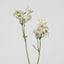 Flannel Flower Spray 75cm - Pack of 12