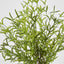 Real Touch Asparagus Fern Bush