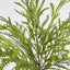 Real Touch Fern Bush