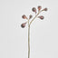 Fig Spray Brown 63cm