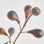 Fig Spray Brown 63cm