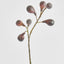 Fig Spray Brown 63cm