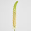 Fox Tail Stem 84cm Cream Green