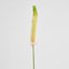 Fox Tail Stem 84cm Pink