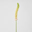 Fox Tail Stem 84cm Pink