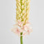 Fox Tail Stem 84cm Pink