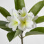 Real Touch Frangipani Stem 88cm - Pack of 12