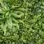 Variegated Foliage Wall UV Treated 1x1m