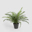 Potted Fern 40cm