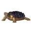 Purple-robed Golden Tortoise