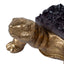 Purple-robed Golden Tortoise