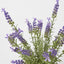 Potted Lavender 42cm