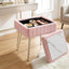 Storage Ottoman Vanity Foot Stool Pink