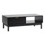 Apia Coffee Table Black